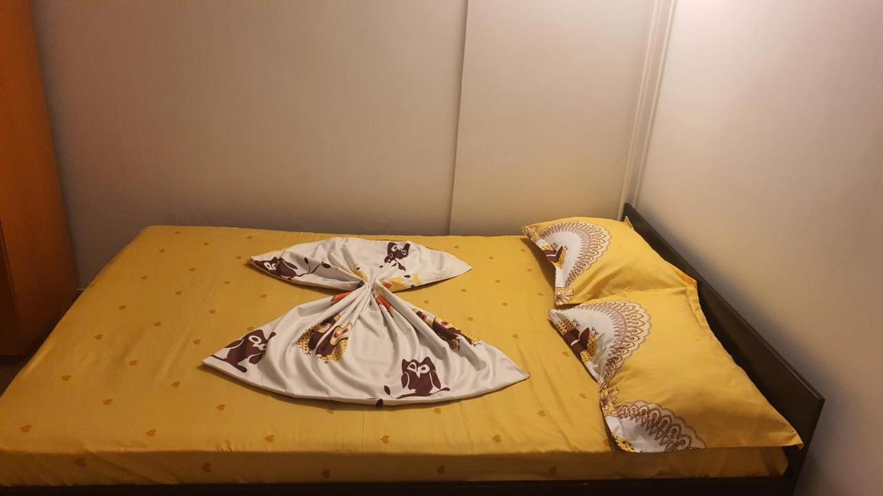 Vila Matei Schitu Zewnętrze zdjęcie